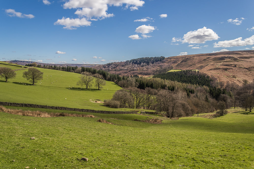 Eyam Moor Eyam Moor